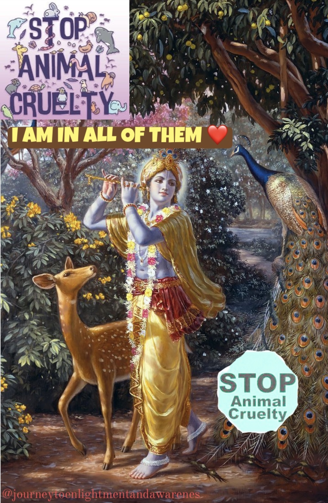 Why animal cruelty is wrong – divine presence and compassion in animals and humans