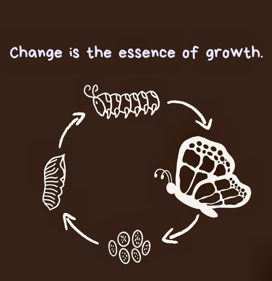 Step out of your comfort zone